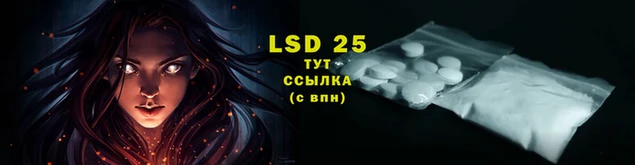 спайс Аркадак