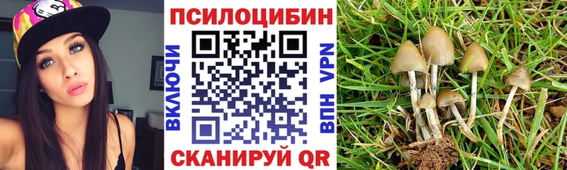 Псилоцибиновые грибы GOLDEN TEACHER  Купить закладки  Курчалой 
